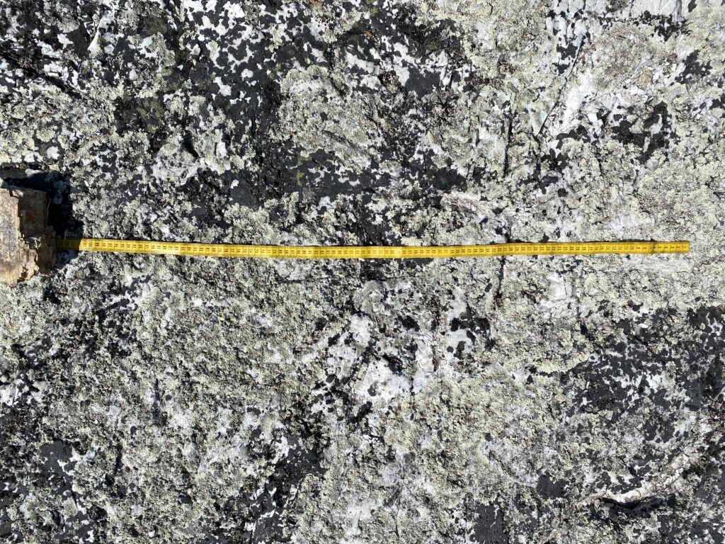 B00293511 1